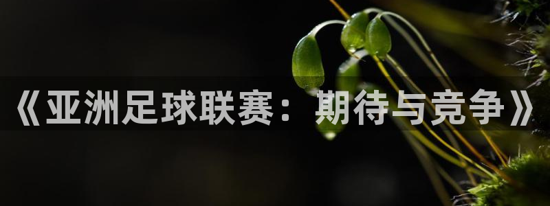 《亚洲足球联赛：期待与竞争》