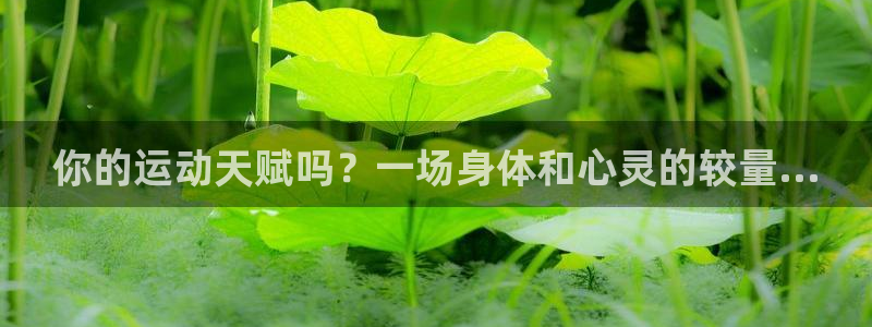 你的运动天赋吗？一场身体和心灵的较量...