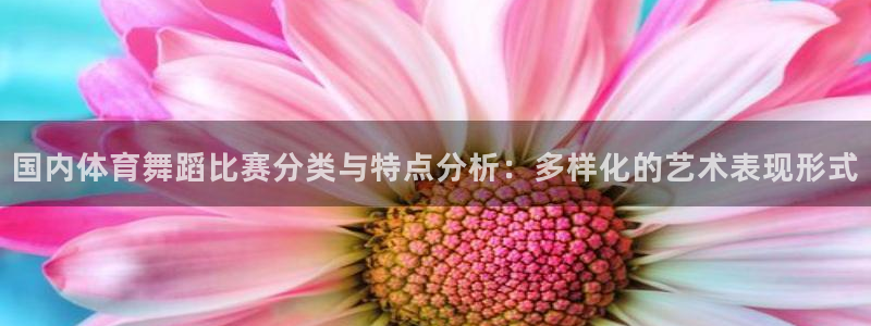 国内体育舞蹈比赛分类与特点分析：多样化的艺术表现形式