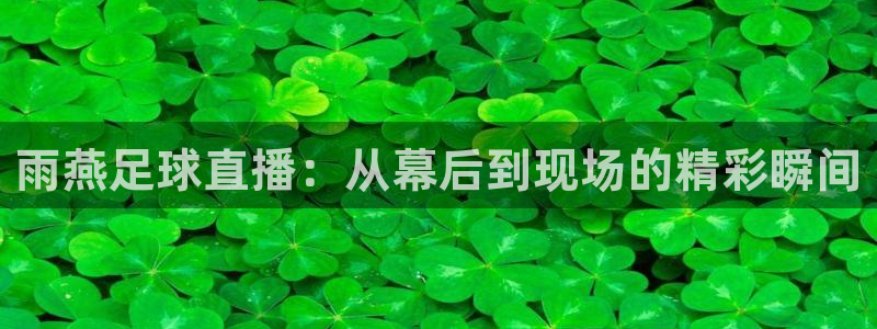 雨燕足球直播：从幕后到现场的精彩瞬间